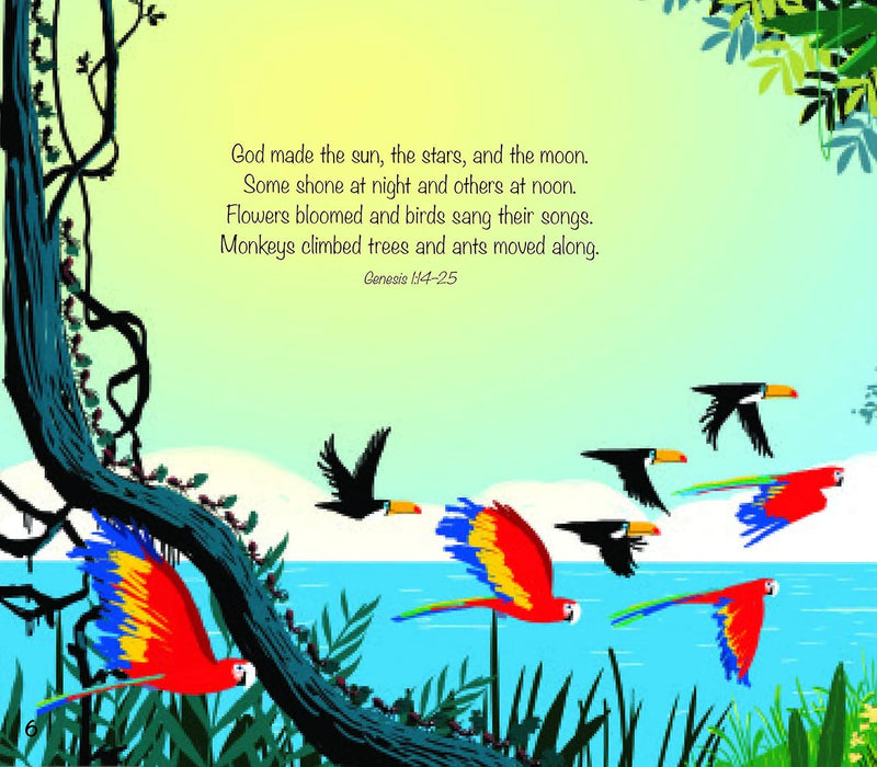 God Great Plan Story Book