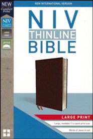 NIV THINLINE BIBLE LARGE PRINT NIV, BONDED LEATHER BURGUNDY INDEX